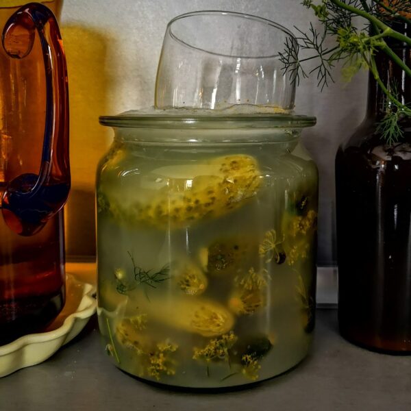 Ферментирали зеленчуци