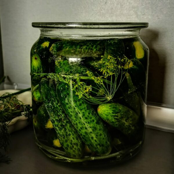 Ферментирали зеленчуци