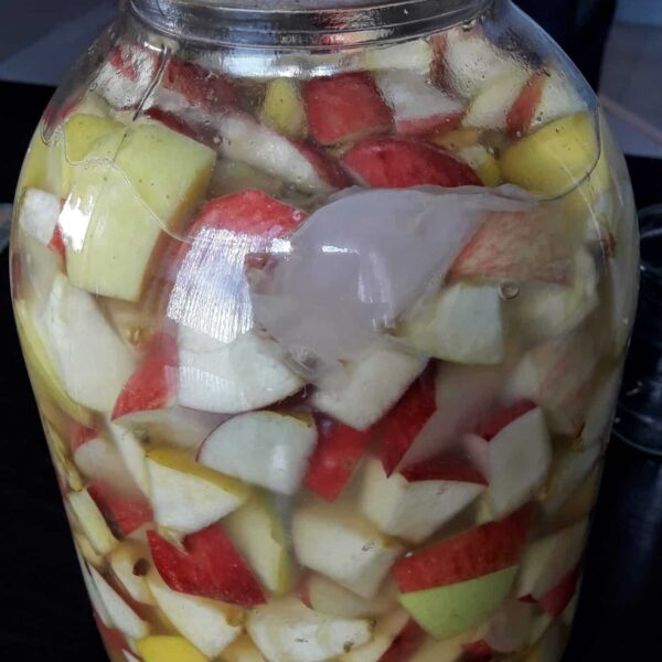 Ябълков оцет