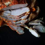 Печено месо за студено поднасяне и сандвичи