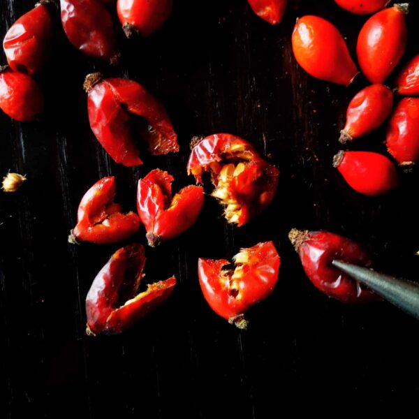 Шипкова вода