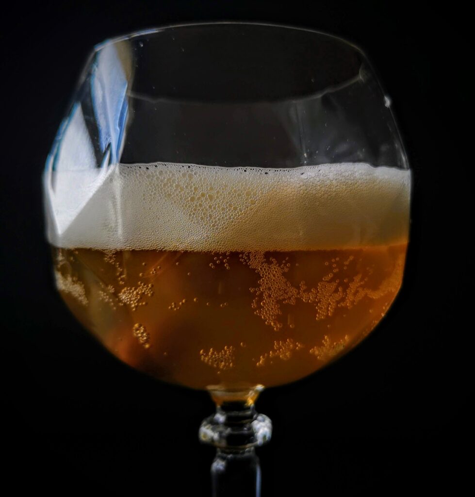 Домашна комбуча