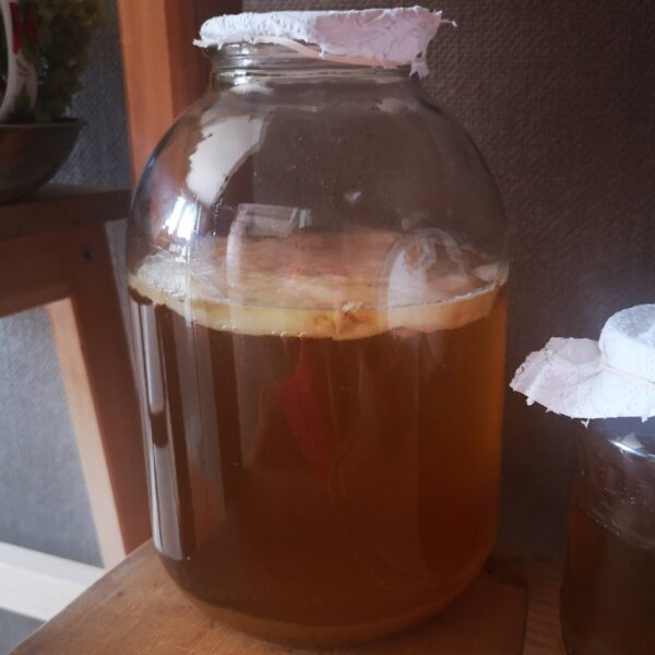 Домашна комбуча