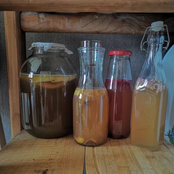 Комбуча - вторична ферментация